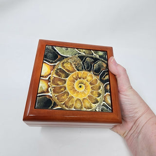Ammonite Fossil Tile Wood Box - Jewelry Box Gift Packaging Display