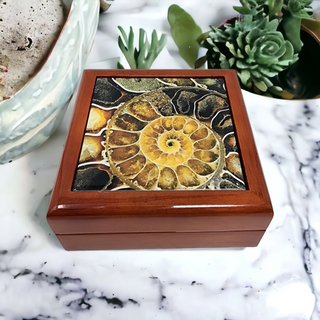 Ammonite Fossil Tile Wood Box - Jewelry Box Gift Packaging Display