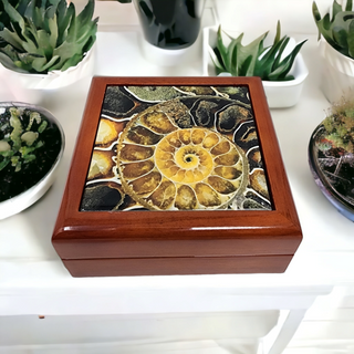 Ammonite Fossil Tile Wood Box - Jewelry Box Gift Packaging Display
