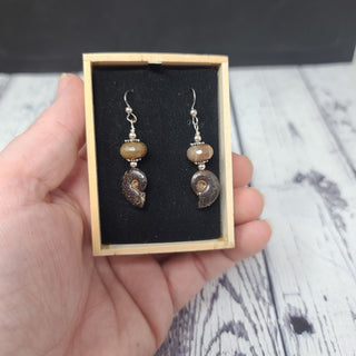 Ammonite Fossil Spiral Agate Sterling Silver Earrings