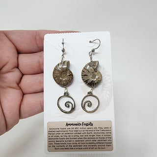 Ammonite and Sterling Siver Spiral Dangle Earrings