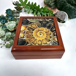Ammonite Fossil Tile Wood Box - Jewelry Box Gift Packaging Display