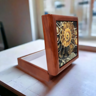 Ammonite Fossil Tile Wood Box - Jewelry Box Gift Packaging Display